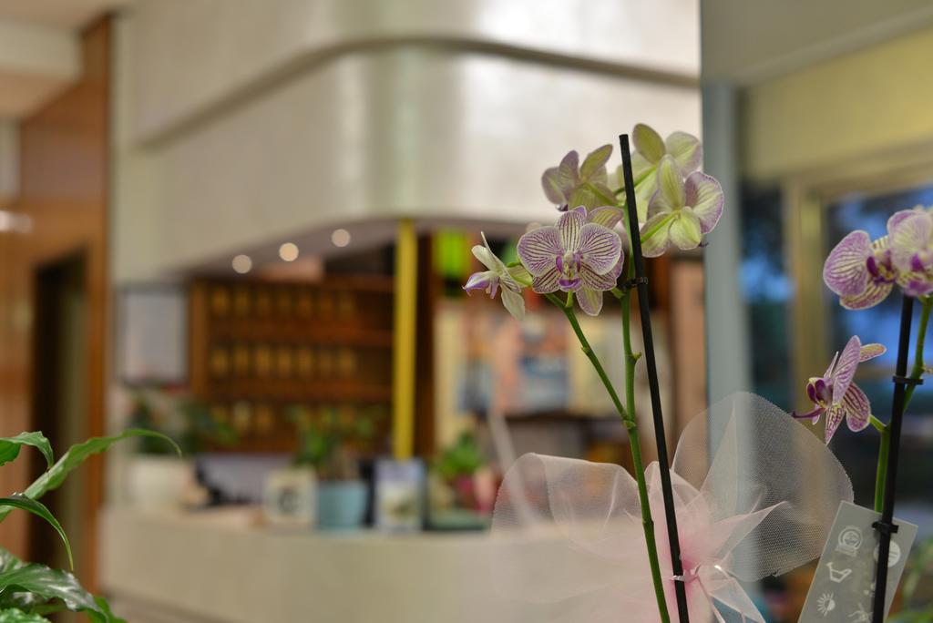 Hotel Marselli Rimini Extérieur photo